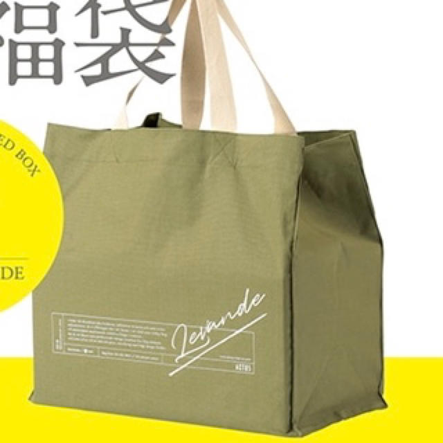 ACTUS(アクタス)のアクタス 福袋 2019 LIMITED BOX LEVANDE インテリア/住まい/日用品のインテリア小物(花瓶)の商品写真