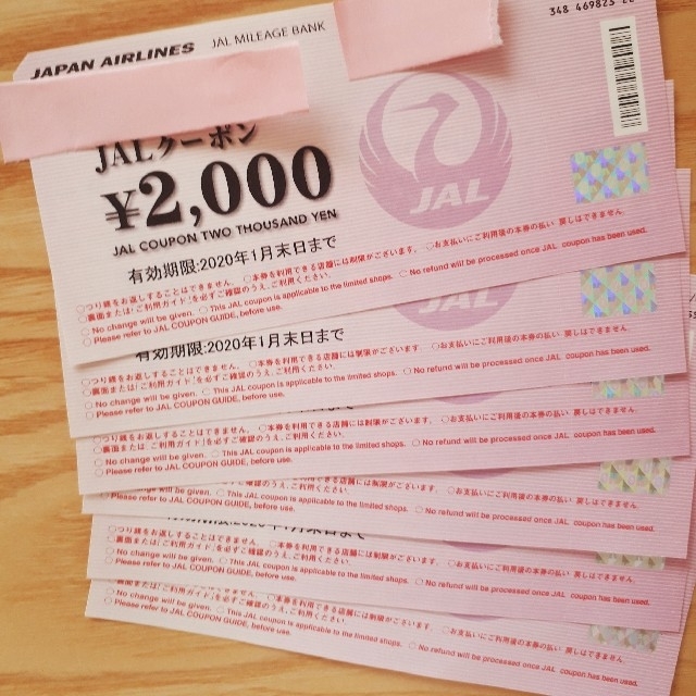 12,000円分JALクーポン 女性名義