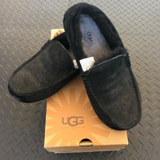 アグ(UGG)のUGG アグ ASCOT BOMBER  スリッポン(スリッポン/モカシン)