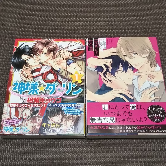 角川書店(カドカワショテン)の兄さんの友達/神様ダーリン set エンタメ/ホビーの漫画(ボーイズラブ(BL))の商品写真