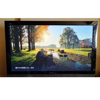 ヒタチ(日立)の期間限定値下げ！日立　プラズマテレビ大画面５０インチ　Wooo P50-XP05(テレビ)