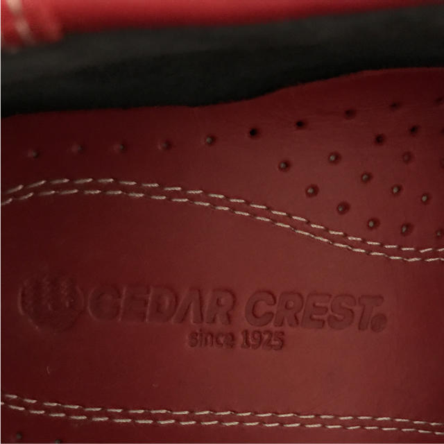 CEDAR CREST(セダークレスト)のCEDAR CRESTモカシンデッキシューズ メンズの靴/シューズ(スリッポン/モカシン)の商品写真