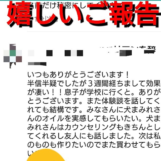 お試し10mlタイガーアイ入り【最強金運】開運願いが叶うメモリーオイル スプレー 2