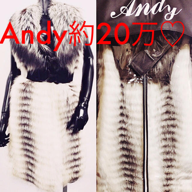 Andy(アンディ)のR☆R様専用になります♡♡ レディースのジャケット/アウター(毛皮/ファーコート)の商品写真