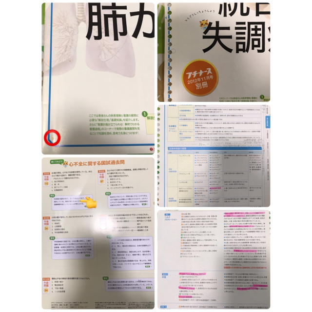 プチナース 付録 疾患別看護過程 8冊まとめ売り☺︎の通販 by YUKI's ... まとめ売り☺