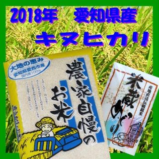 キヌヒカリ 白米 3kg 農家自慢のお米 2018年 愛知県産【送料込】(米/穀物)