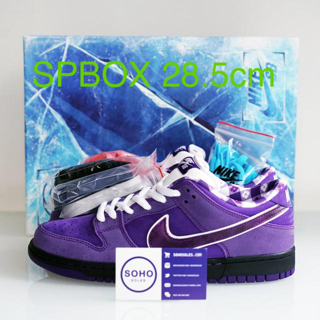 Concepts x Nike SB Dunk purple lobster靴/シューズ