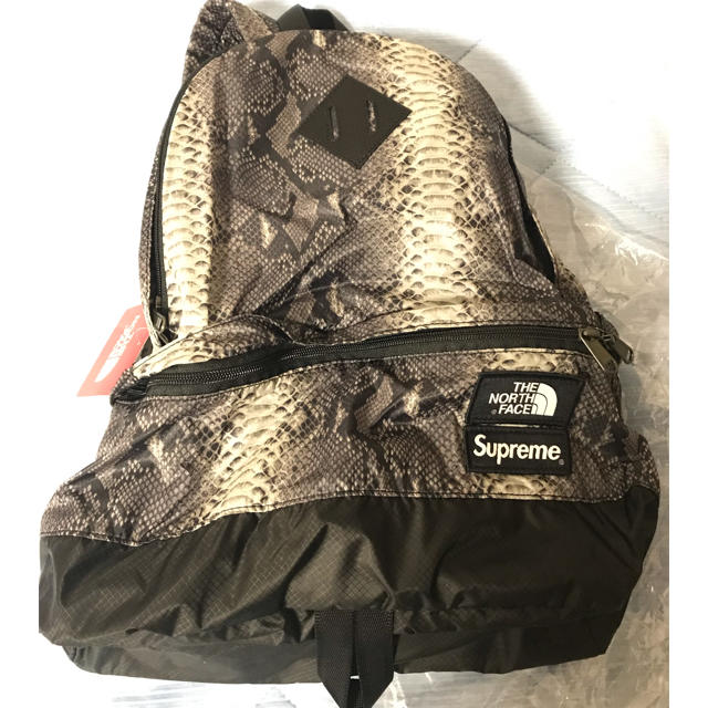 Supreme The North Face Snakeskin リュック