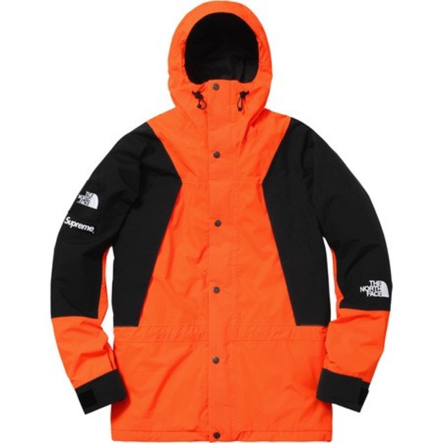 Supreme(シュプリーム)の【みやもと様専用】supreme mountain jacket メンズのジャケット/アウター(マウンテンパーカー)の商品写真