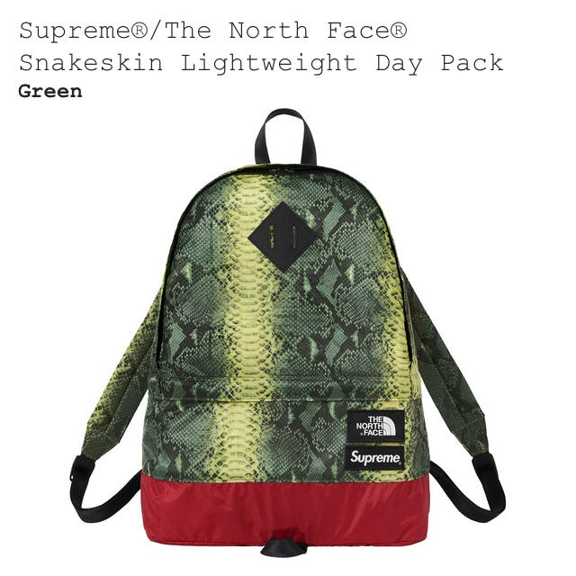 18ss supreme × north face day backpackメンズ