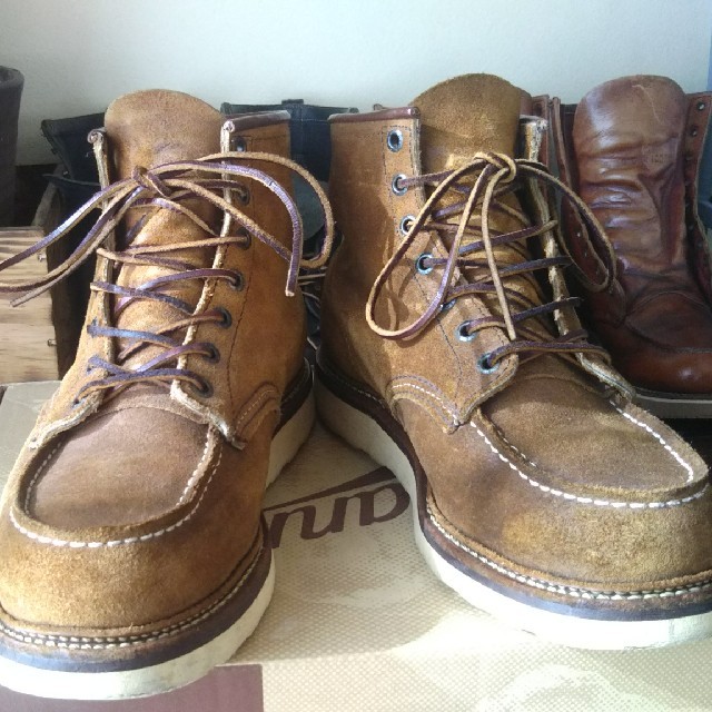 RED WING1903