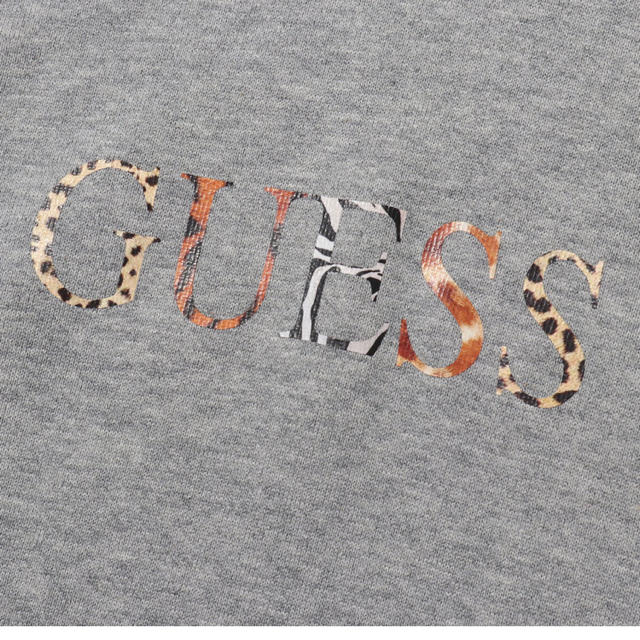 GUESS(ゲス)の新品未使用  M  GUESS x atmos コラボレーション ゲス パーカー メンズのトップス(パーカー)の商品写真