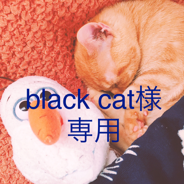 SpRay(スプレイ)のblack cat様 専用    コート レディースのジャケット/アウター(毛皮/ファーコート)の商品写真