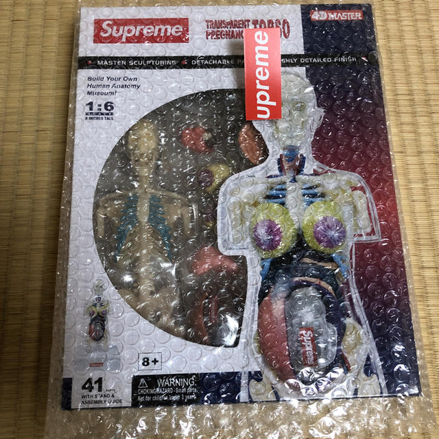 Supreme(シュプリーム)のSupreme Transparent Torso Model 女 エンタメ/ホビーのおもちゃ/ぬいぐるみ(模型/プラモデル)の商品写真