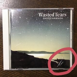 浜田省吾 『 WASTED TEARS 』(ポップス/ロック(邦楽))