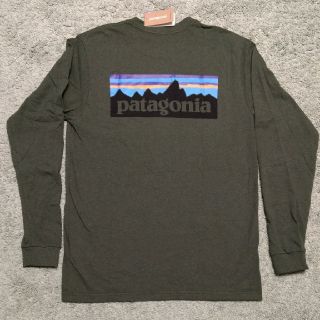 パタゴニア(patagonia)のパタゴニア　patagonia　P6　ロングT　ロンT(Tシャツ/カットソー(七分/長袖))