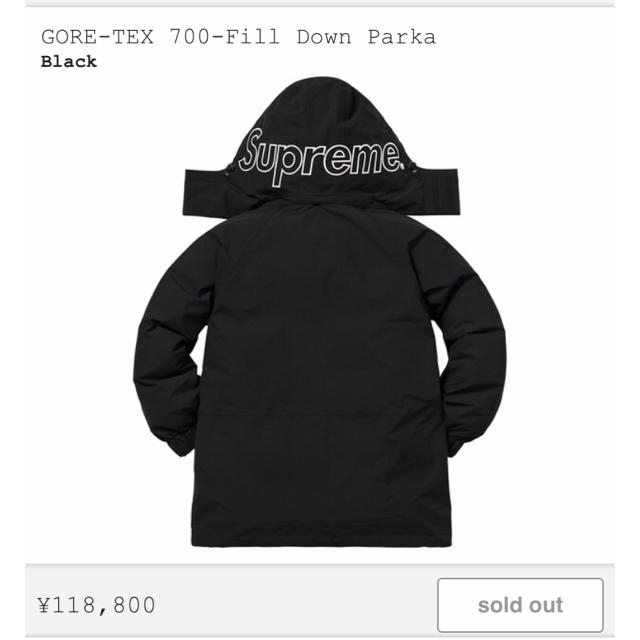 supreme GORE-TEX 700-Fill Down Parka