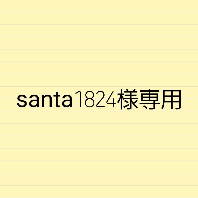 santa1824様専用3DS-