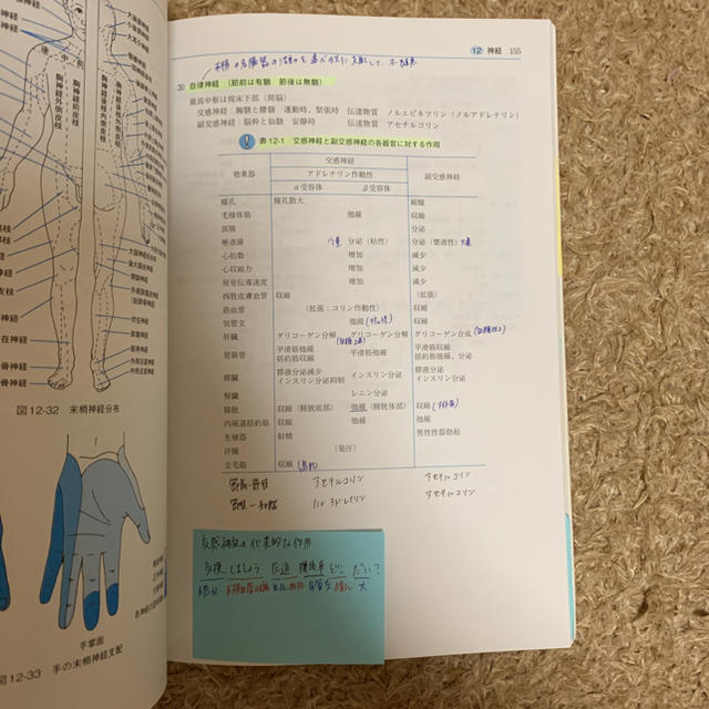 国試の達人 運動解剖生理学の通販 by M shop|ラクマ 国試の達人 運動解剖生理学の通販 by M shop|ラクマ