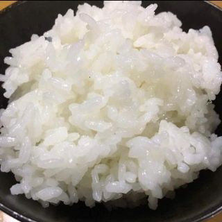 新米 お米 ひのひかり 5kg  『白米・玄米』(米/穀物)