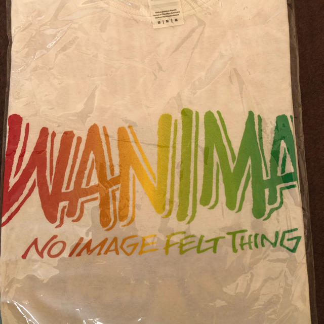WANIMA(ワニマ)の超希少‼️WANIMA KENTA Tシャツ M白 エンタメ/ホビーのタレントグッズ(ミュージシャン)の商品写真