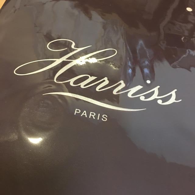 Harriss(ハリス)の大人のおしゃれ手帖 付録 レディースのファッション小物(ポーチ)の商品写真