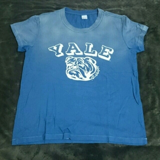 ドゥーズィエムクラス(DEUXIEME CLASSE)のYALEのブルドックTシャツ(シャツ/ブラウス(半袖/袖なし))