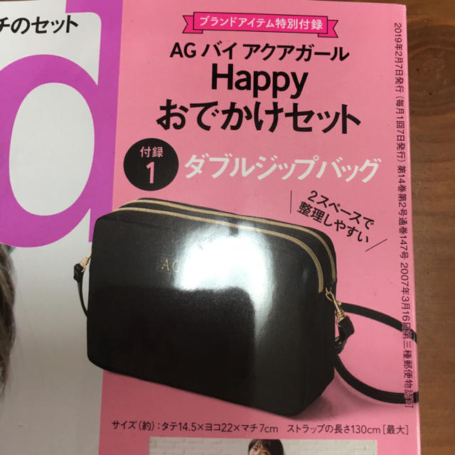 AG by aquagirl(エージーバイアクアガール)のステディ 2月号 付録 バッグとポーチのセット エンタメ/ホビーの雑誌(ファッション)の商品写真