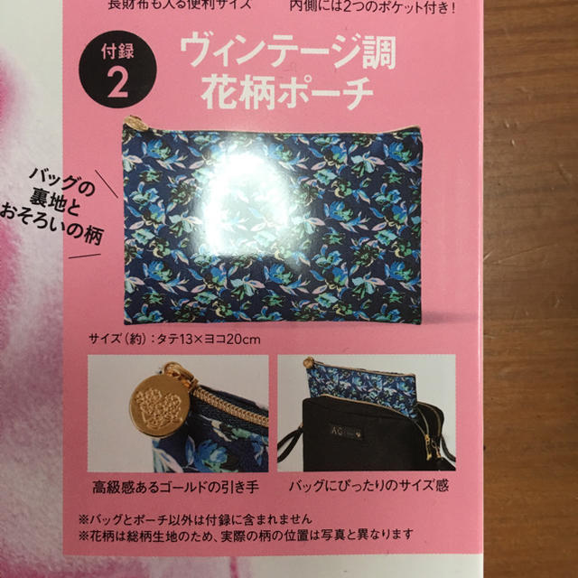 AG by aquagirl(エージーバイアクアガール)のステディ 2月号 付録 バッグとポーチのセット エンタメ/ホビーの雑誌(ファッション)の商品写真