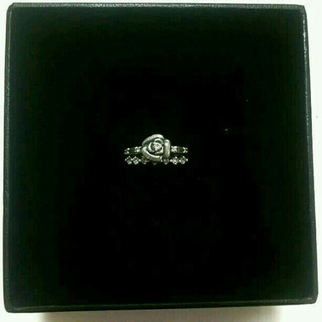 ANNA SUI(アナスイ)のANNA SUI ２連silverリング レディースのアクセサリー(リング(指輪))の商品写真