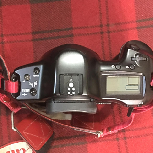 Canon(キヤノン)のCANON キャノン EOS-1N ストラップおまけ  スマホ/家電/カメラのカメラ(フィルムカメラ)の商品写真