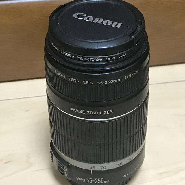 Canon 55-250 IS