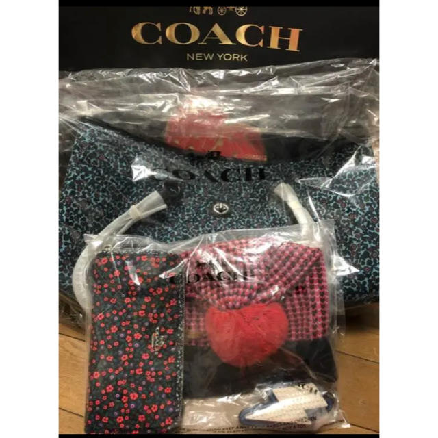 COACH(コーチ)のCOACH 福袋 レディースのファッション小物(財布)の商品写真