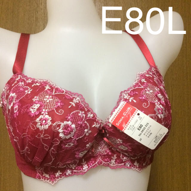 小花刺繍入り ブラショー E80L レッド レディースの下着/アンダーウェア(ブラ&ショーツセット)の商品写真