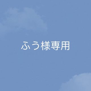 ふうさま専用(その他)