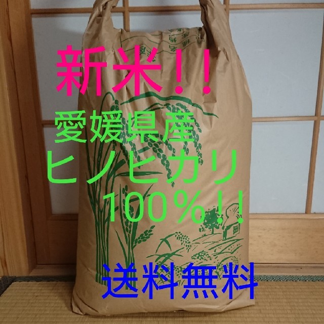 食品/飲料/酒30年度愛媛県産ヒノヒカリ100%