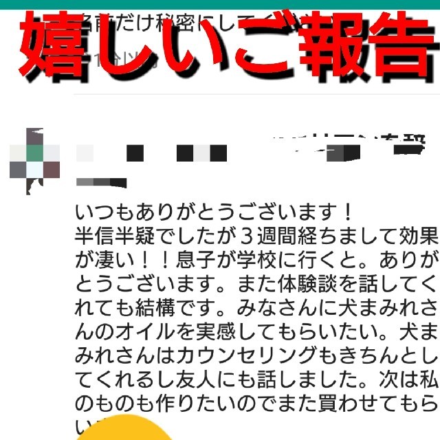 無料配達 お試し10ml水晶入り【不眠症改善 安眠】願いが叶う開運 ...