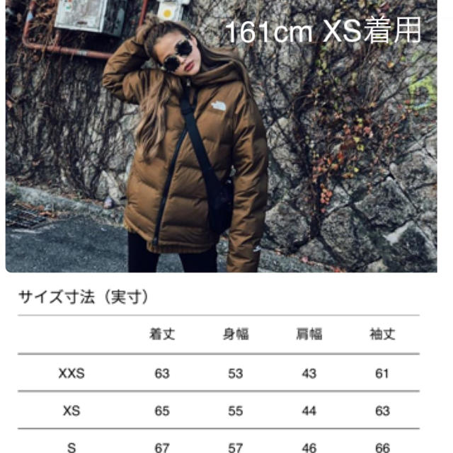 THE NORTH FACE(ザノースフェイス)のビレイヤーパーカ Belayer Parka チークブラウン ザノースフェイス メンズのジャケット/アウター(ダウンジャケット)の商品写真