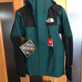 ザノースフェイス(THE NORTH FACE)の最新2018.19 The North Face Mountain Jacket(マウンテンパーカー)