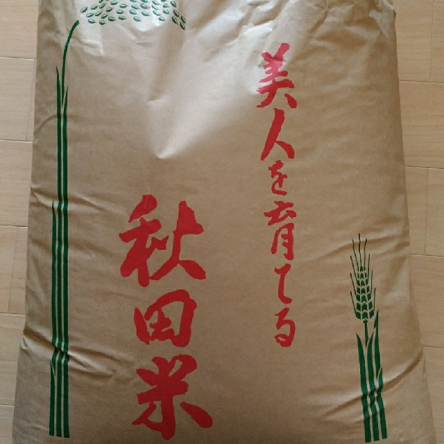 食品/飲料/酒H30年産あきたこまち　30kg