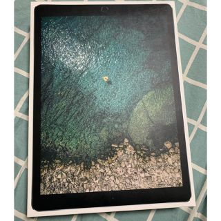 アイパッド(iPad)のiPad Pro 512GB(ノートPC)