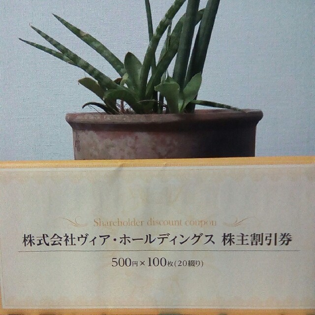 ヴィア・ホールディングス優待割引券50,000円分優待券/割引券
