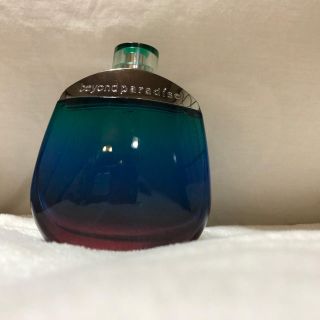 エスティローダー(Estee Lauder)のビヨンドパラダイス メン 100ml beyond paradise(香水(男性用))