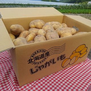 土室メークイン　北海道は富良野から(野菜)