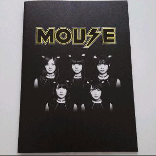 乃木坂46 ミニ 写真集 非売品(アイドルグッズ)