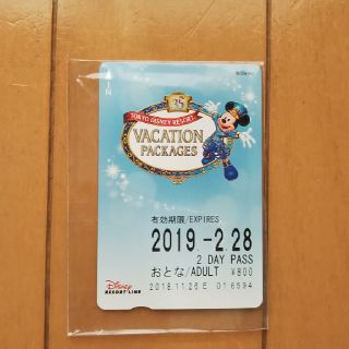 ディズニー(Disney)のリゾートライン 2daypass(遊園地/テーマパーク)