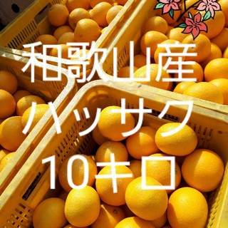 和歌山県産　減農薬　はっさく(八朔)10キロ(フルーツ)