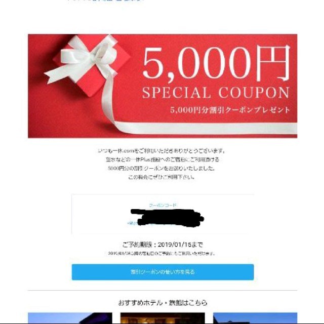 一休　割引クーポン 5000円分