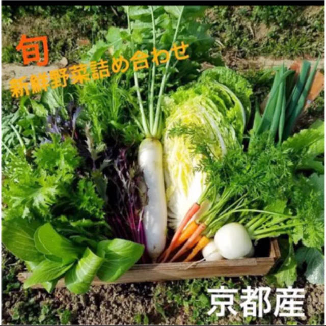 収穫より最短で食卓までお届けいたします！無農薬 減農薬 京野菜 食品/飲料/酒の食品(野菜)の商品写真