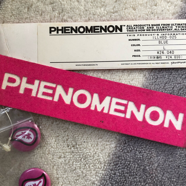 PHENOMENON(フェノメノン)のphenomenon フェノメノン パーカー Lサイズ メンズのトップス(パーカー)の商品写真